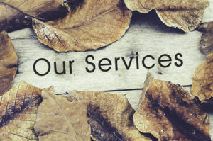 Our Services