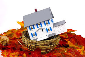 home equity