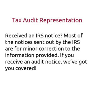 audit representation