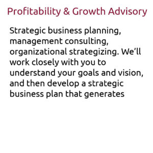 profitability & Growth Advisory